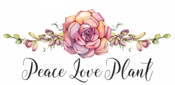 Living Creations Gifts Decor Peace Love Plant